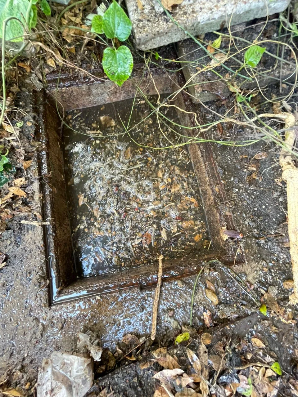 Mainhole Blockage Cleaning