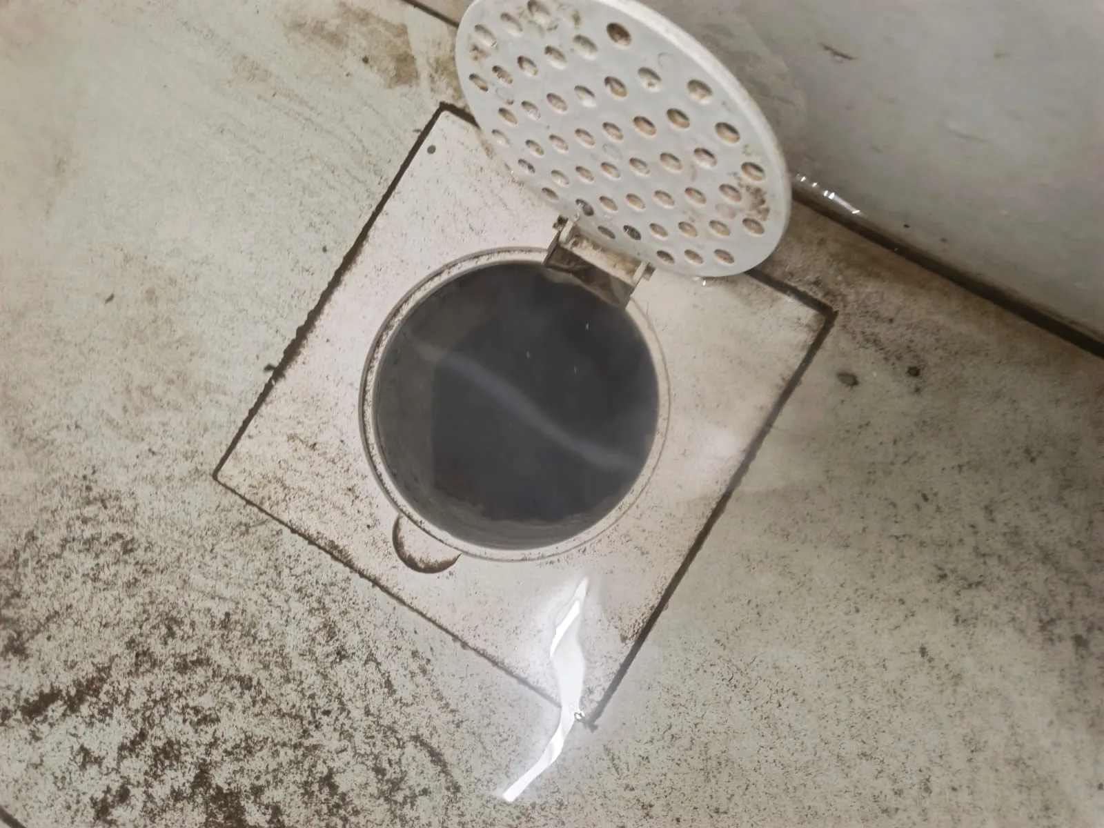 Sink & Floor Trap Blockage